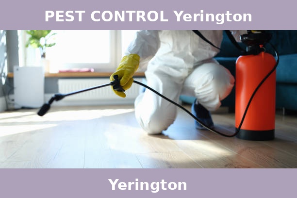 PEST CONTROL Yerington